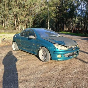 PEUGEOT - 206
