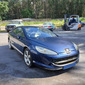 PEUGEOT - 407